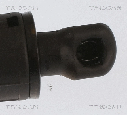 Gas Spring, boot/cargo area