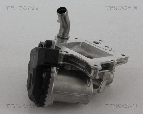 EGR Valve (8813 15205)