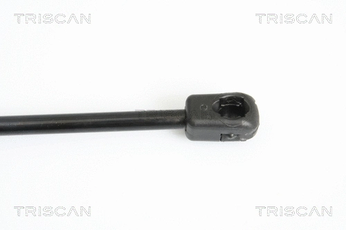 Gas Spring, bonnet