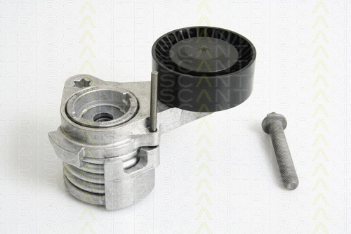 Belt Tensioner, V-ribbed belt (8641 113027)