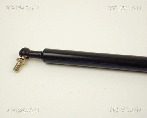 Gas Spring, boot/cargo area
