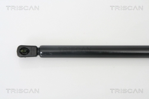 Gas Spring, boot/cargo area