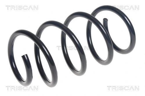 Suspension Spring (8750 29535)