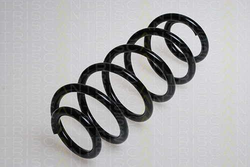 Suspension Spring (8750 29376)