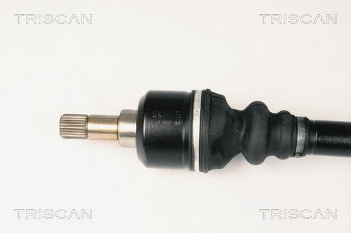 Drive Shaft