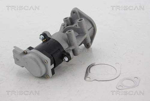 EGR Valve (8813 17008)