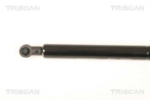 Gas Spring, boot/cargo area