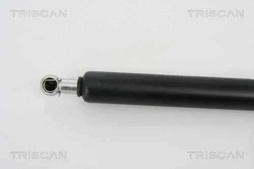Gas Spring, boot/cargo area
