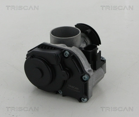 Throttle Body (8820 29010)