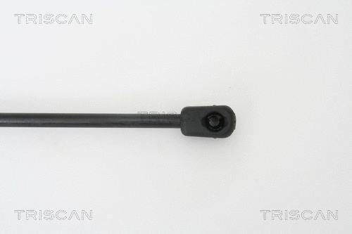 Gas Spring, boot/cargo area