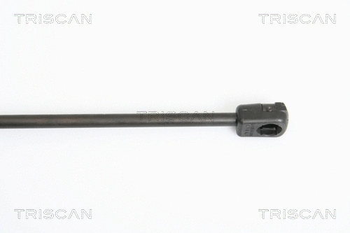 Gas Spring, boot/cargo area