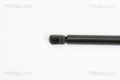 Gas Spring, boot/cargo area