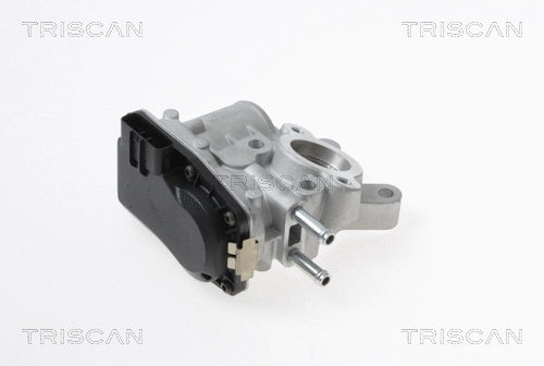 EGR Valve (8813 14100)