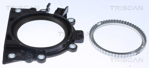 Shaft Seal, crankshaft (8550 100005)