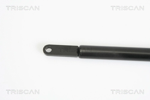 Gas Spring, bonnet