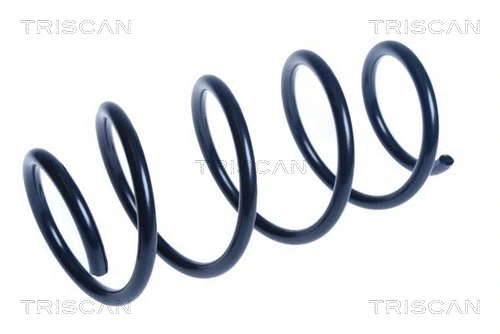 Suspension Spring (8750 14125)