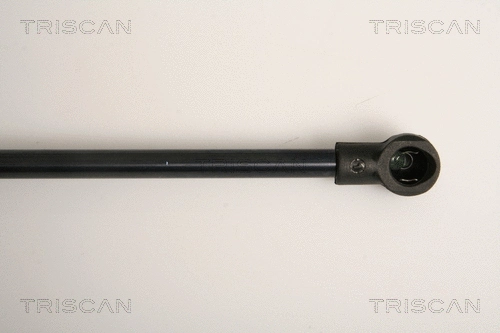 Gas Spring, boot/cargo area