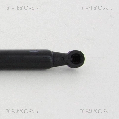 Gas Spring, boot/cargo area