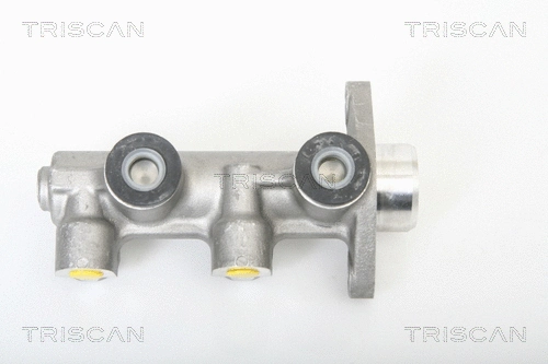 Brake Master Cylinder (8130 21102)