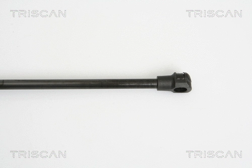 Gas Spring, boot/cargo area