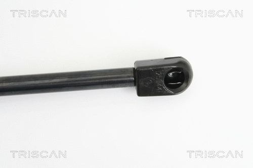 Gas Spring, boot/cargo area