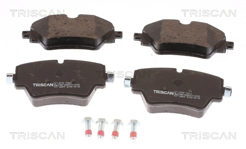 Brake Pad Set, disc brake (8110 11065)