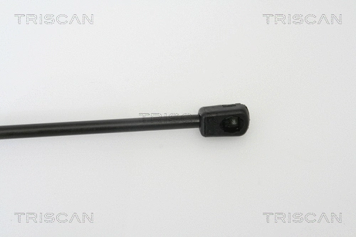 Gas Spring, boot/cargo area