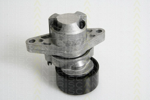 Belt Tensioner, V-ribbed belt (8641 253008)