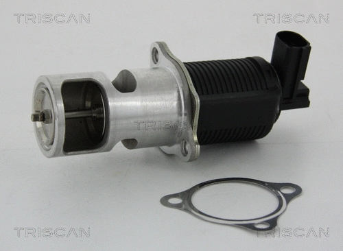 EGR Valve (8813 24055)