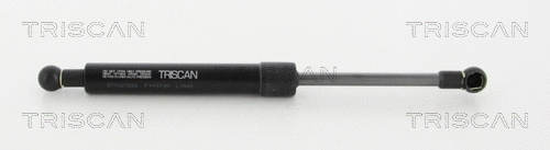 Gas Spring, boot/cargo area (8710 27226)