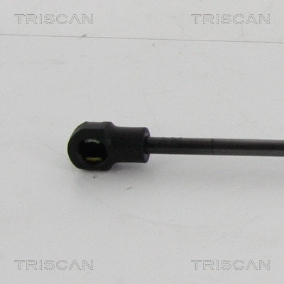 Gas Spring, boot/cargo area
