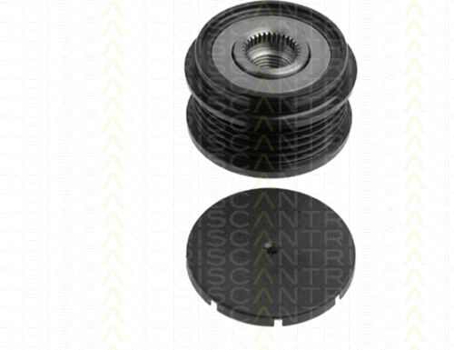 Alternator Freewheel Clutch (8641 294004)
