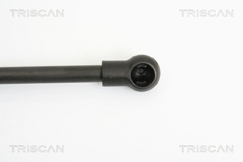 Gas Spring, boot/cargo area
