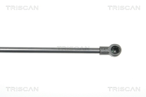 Gas Spring, boot/cargo area
