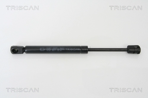 Gas Spring, boot/cargo area (8710 14240)