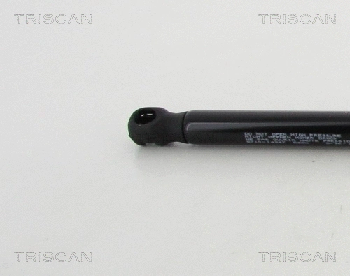 Gas Spring, boot/cargo area