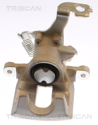 Brake Caliper (8175 13243)
