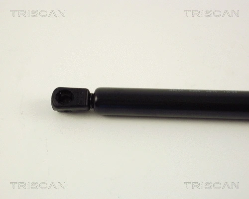 Gas Spring, boot/cargo area