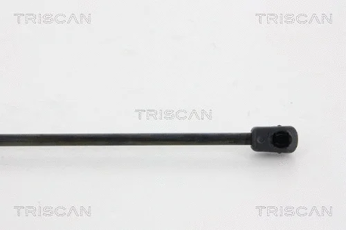 Gas Spring, boot/cargo area
