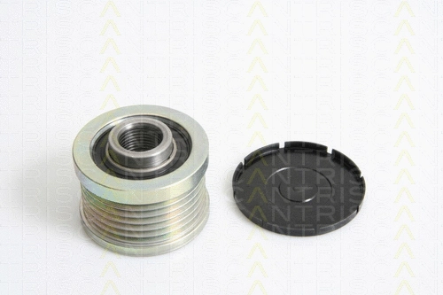 Alternator Freewheel Clutch (8641 144002)