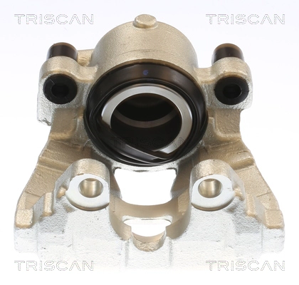 Brake Caliper (8175 10131)