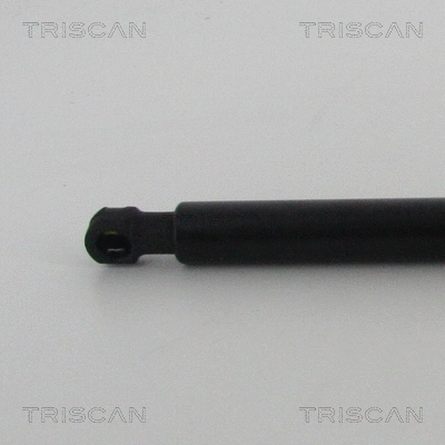Gas Spring, boot/cargo area