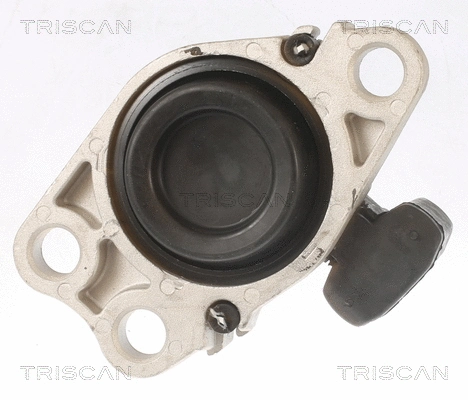 Mounting, engine