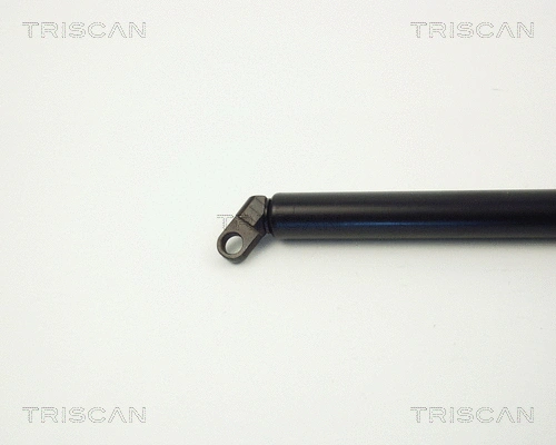 Gas Spring, boot/cargo area