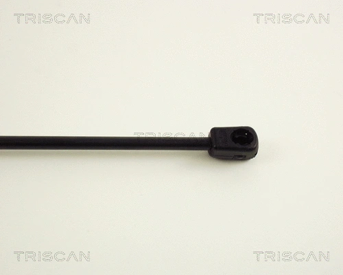 Gas Spring, boot/cargo area