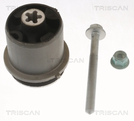 Bushing, axle beam (8500 298077)