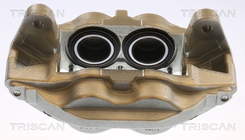 Brake Caliper (8175 13129)