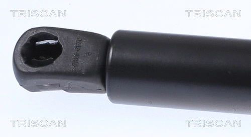 Gas Spring, boot/cargo area