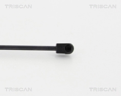 Gas Spring, boot/cargo area