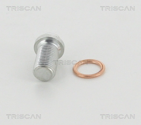 Screw Plug, oil sump (95-0974)